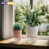 Lazy Hydroponic Flower Pot Automatic Water-Absorbing Flowerpot Transparent Double Layer Plastic Self Watering Planter Office