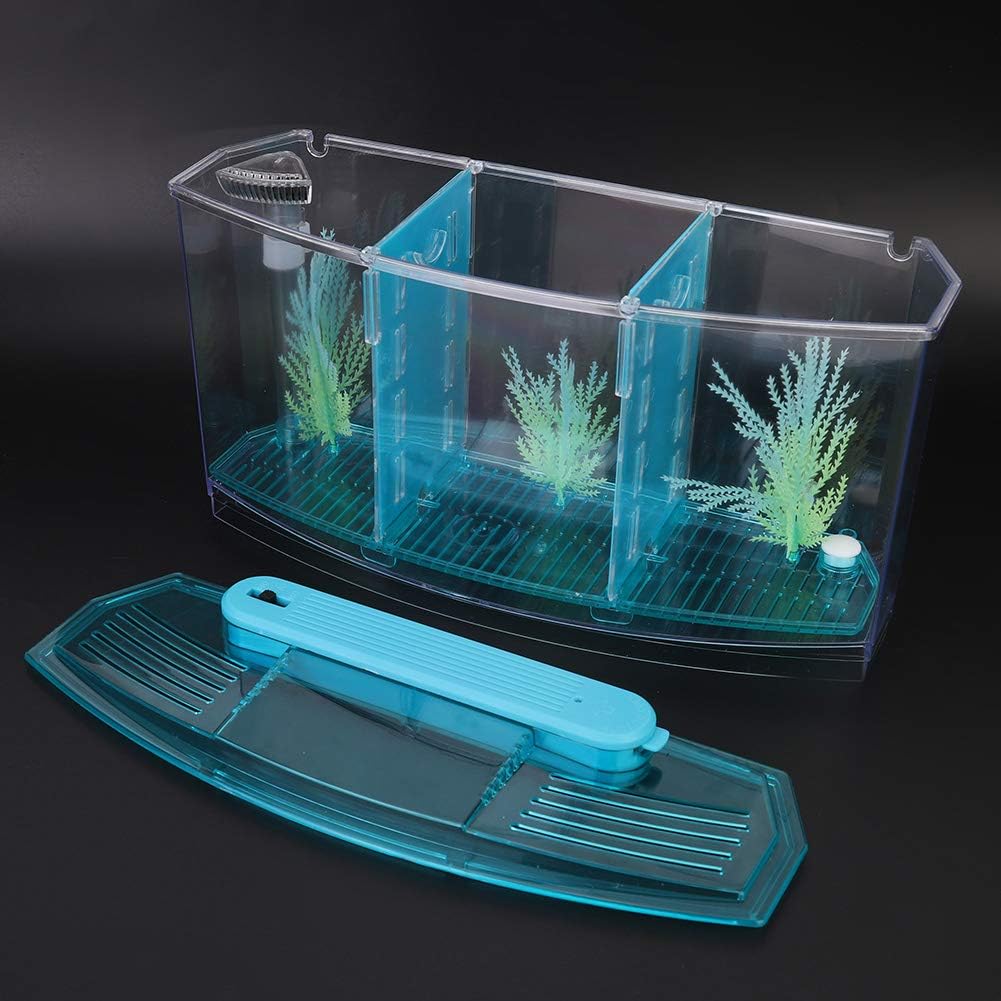 Three Areas Small Aquarium, Transparent Fish Tank, Desktop with Water Change Valve with LED Light for Betta Small Fishes(Blue)