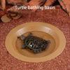 Turtles Water Basin Bathing Bowl Water Container Soaking Dish for Reptiles Amphibians Terrariums Habitat Accessories