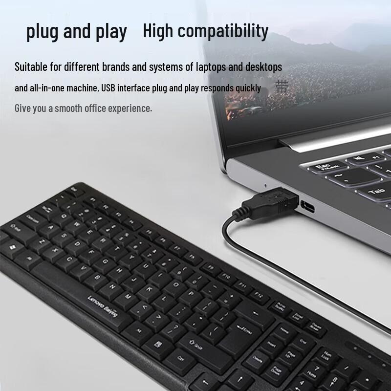 Lenovo KL21 Wired USB Office Keyboard