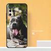 Pit Bull Lovely Dog Pitbull Case For Oppo A74 A94 A54 A15 A17 A57 A6 A5 Pro A16 A76 A96 A40 A60 A80 A18 A38 A58 A78 A98