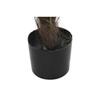 Decorative Plant - Palm Tree - Resistant Polypropylene - 100x100x240 Cm - Aesthetic Design