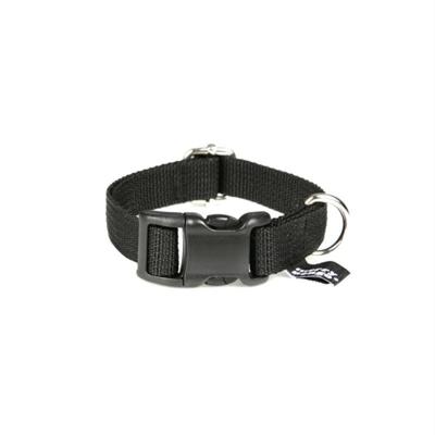 Basic Black Leash