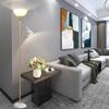 Modern Minimalist Double-Head Floor Lamp with Reading Light