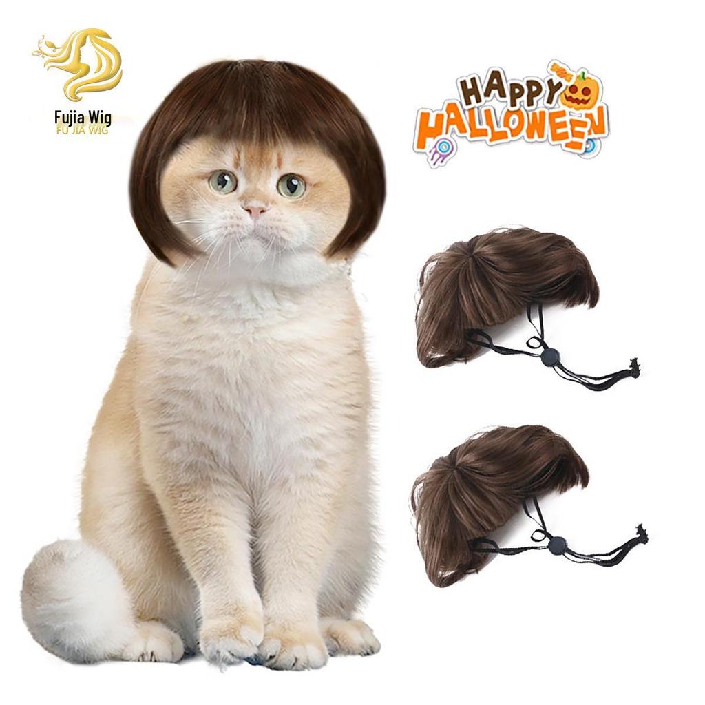 Pet Wigs: Fun Headdresses for Cats & Dogs with Bangs & Bobs, Perfect for Holidays & Dress-Up