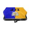Sigma Gamma Rho 1922 SGR Print Mini Leather Purse Small Change Pouch with Kiss-Lock Clasp Closure Buckle Wallet for Women Gifts