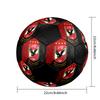 Al Ahly Sporting Club Soccer Ball, colorful, suitable for all ages, machine-stitched, PVC material, competition grade, durable and high bounce