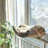 Hammock Cat Bed Safety Pet Cat Window Beds Pets Kitten Cats Nap Mats Nesk Hammock House for Cats Accessories Supplies Product