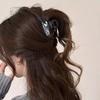 Kopfschmuck Haarspange Acetatfaser Haarschmuck Mode Haarspangen Mädchen Geschenk