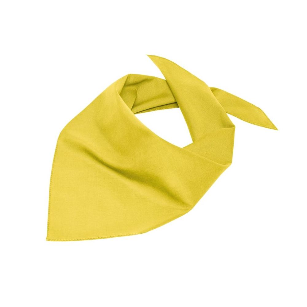 Myrtle Beach Triangular Scarf