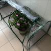 Transparent Garden Warmer Cover Vegetable Flower and Plant Insulated Warming Shed Greenhouse Warming Sunroom Rainproof Cover New