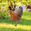 3D Acryl Hühner-Ornament DIY Tier-Skulptur Realistischer Gartenhahn-Pfahl Hinterhof