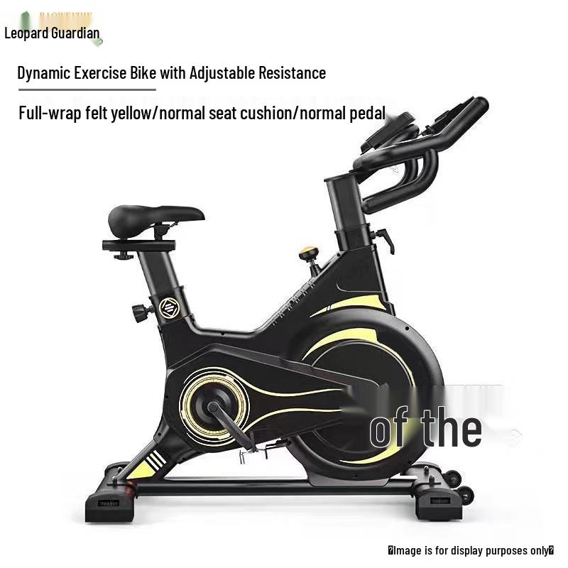 Baoweizhe Home Silent Magnetic Exercise Bike