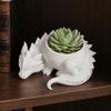 DYS 3D Printed Lying Dragon Flowerpot for Small Green Plants, Decorative Succulents Pot Ornament, Dark Style Figurine Home Office Desktop