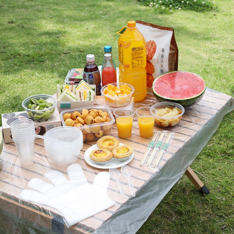 Meiliya Disposable Camping Tableware Set