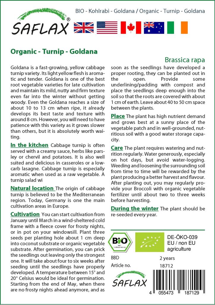SAFLAX Bio - Rübe - Goldana - 500 Samen - Mit Blumenerde für eine bessere Kultivierung - Brassica rapa