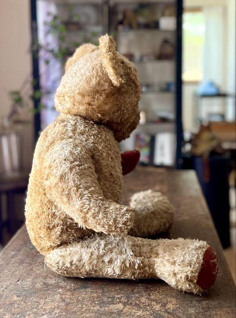 [USED] Vintage Teddy Bear, Antique, 50cm, Unmarked