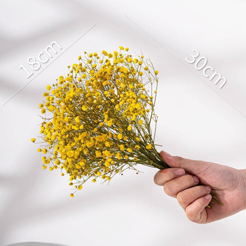 

Flowers Dried Junesnow Living Room Decoration Photo Props Ornament Gift Colorful