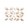 Elegant French Manicure Cat Eye Petal Series Medium-Long Oval Press-on Nails