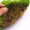 Artificial Moss Turf Lawn Ornaments: Micro Landscape, Potted Bonsai & Paving Decorations