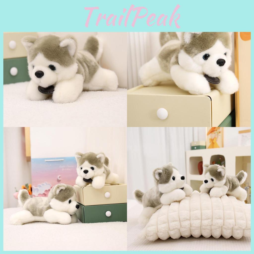 Plush Siberian Charming Husky Dog Stuffed Animal Toy Perfect For Gifts Kids
