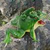 Sounding Frog Toy Clear Texture Puzzle Tricky Props Simulation Sounding Frog Toy for Presentations