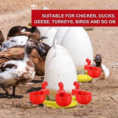 Bebedero automático para aves de corral, bebedero para patos, pavos y pájaros, 6 uds.