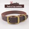 Anti-Bite 5m Iron Chain Dog Leash & Collar Set