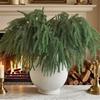 5PCS Green Artificial Norfolk Pine Branches 3/5 Forks Plastic Simulation Ceder Branches DIY Wreath Accessories