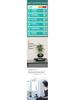 Magnetic Levitation Bonsai: Air-Purifying Ornamental Plant for Home or Office