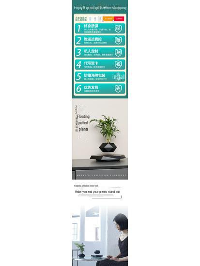 Magnetic Levitation Bonsai: Air-Purifying Ornamental Plant for Home or Office