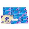 v2239-b 3-ply 130 pulls soft pack, 24 packs