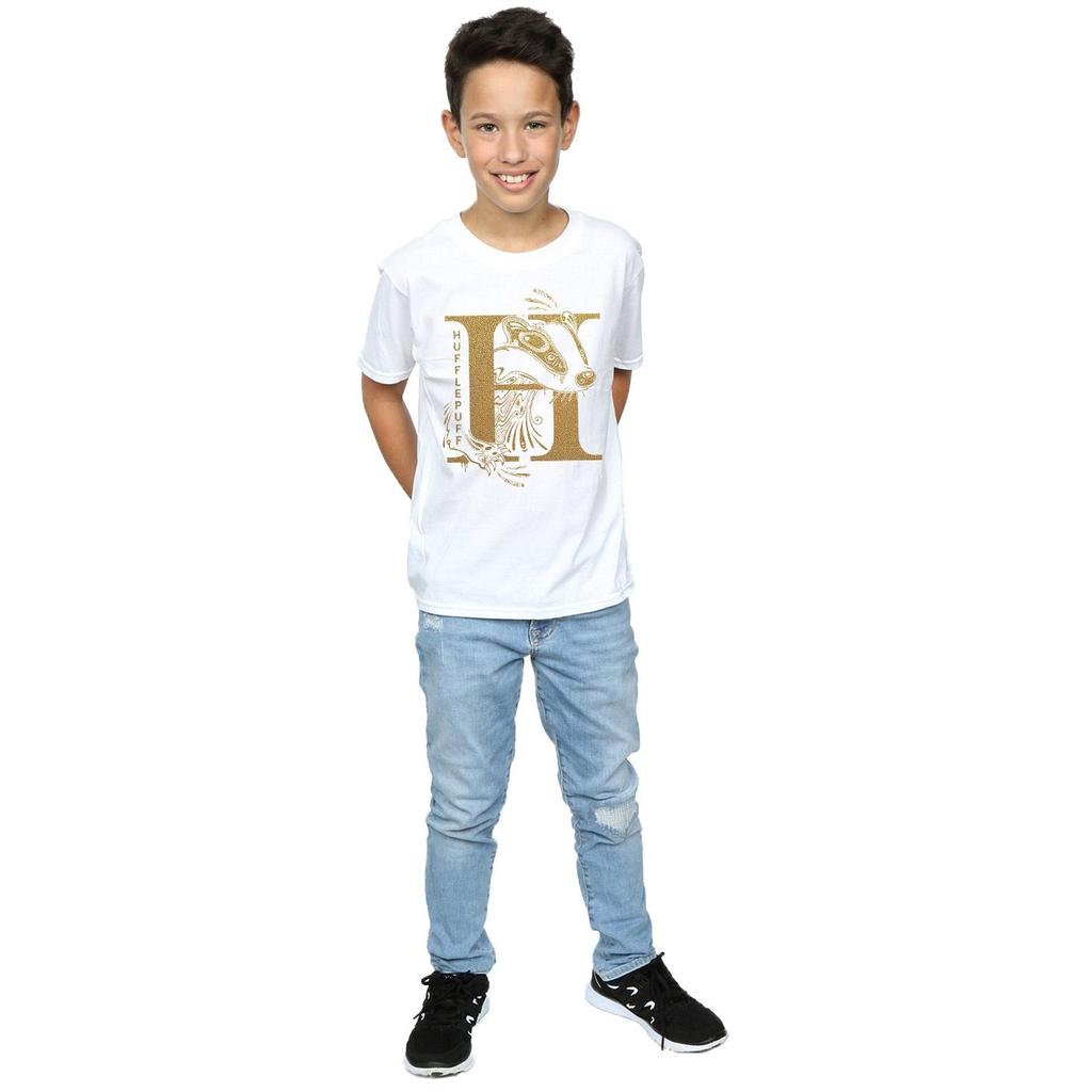 HARRY POTTER Boys Hufflepuff Glitter T-Shirt