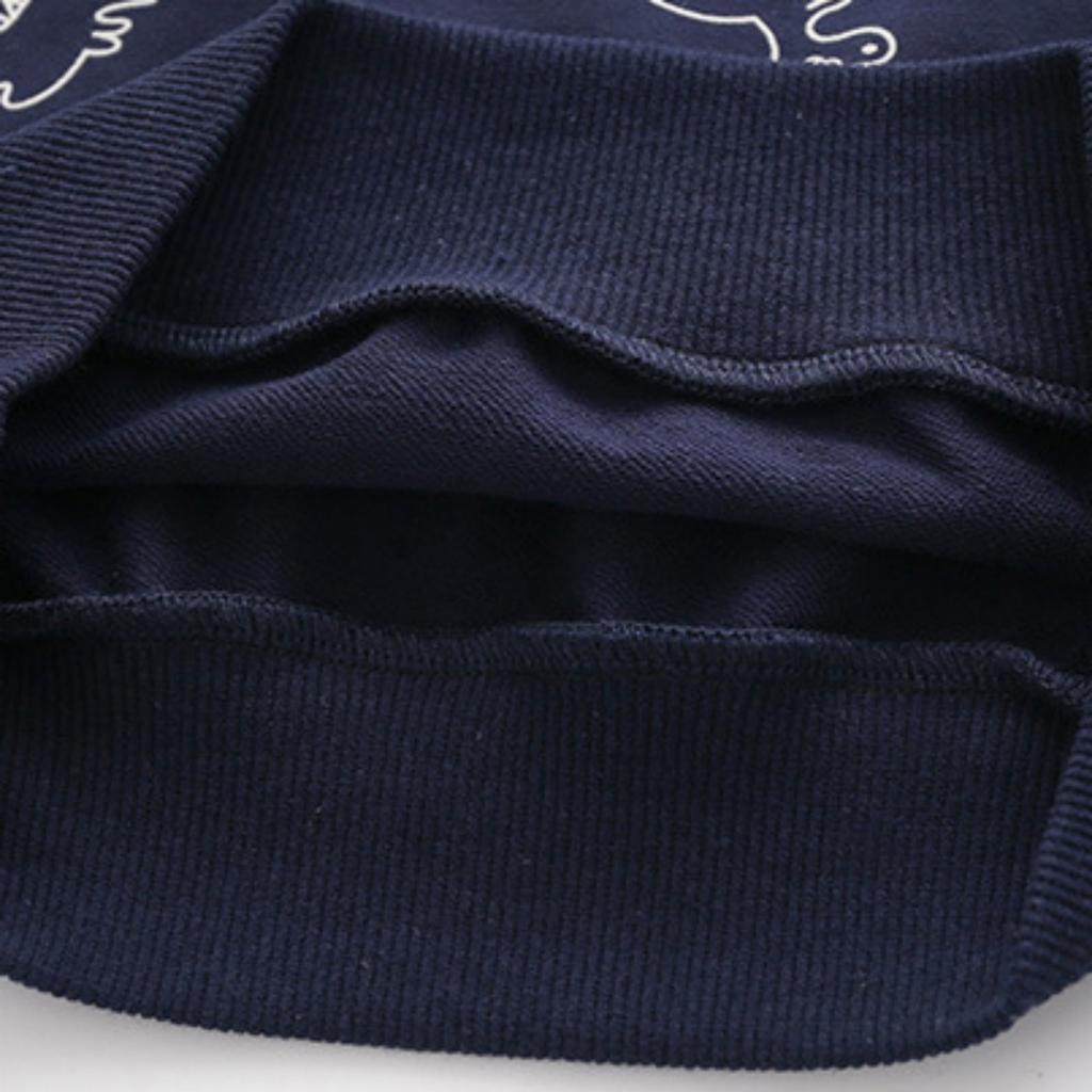 Boys Dinosaur Pullover Sweatshirt Long Sleeve Crewneck Blue Gray