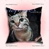 Retro Band D-Deftones Pillow Covers Cartoon Sofa Decorative Home Double-sided Printing Short Plush Cute Cushion Cover