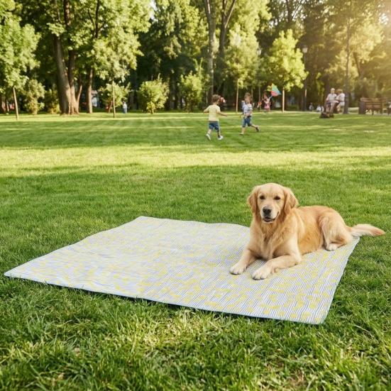 Picnic Mat Foldable Lightweight Picnic Rug with Storage Bag and Shoulder Strap