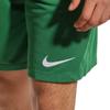 Nike Casual Shorts Men's Green Moderate BV6855-302