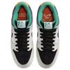 X CSEF Dunk SB Chaussures de Skateboard Basses Unisexes Blanc Vert Noir HJ4132-100
