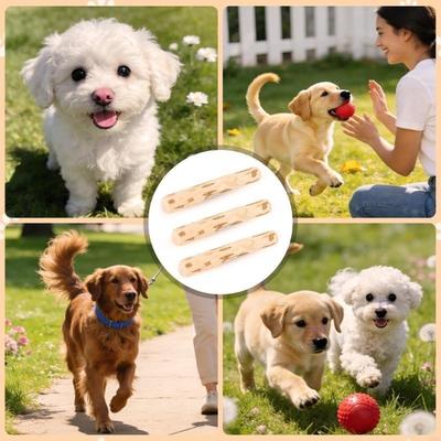Köpek – Köpek oyuncakları
