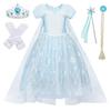 Sophia Flower Puffy Skirt Girls' Dress 2025 with Accessories