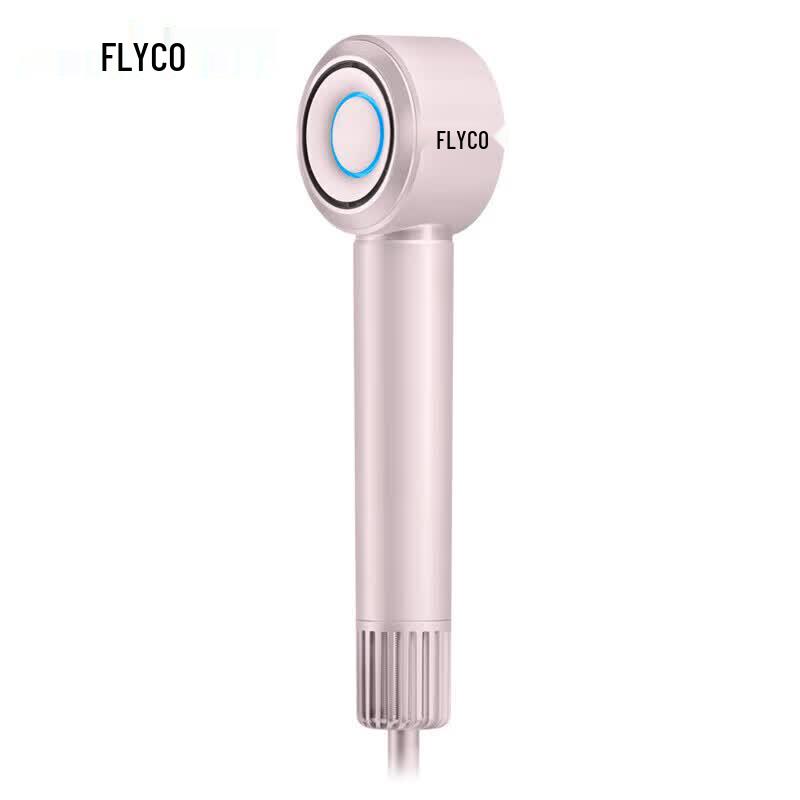 FLYCO High-Speed Negative Ion Hair Dryer CN plug (adapter included)