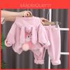 Baby Girl Animal Print Fleece Hoodie And Pants Set For Toddler Winter Casual Wear