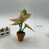 1:12 Dollhouse Miniature Plant  Miniature Dollhouse Decorations
