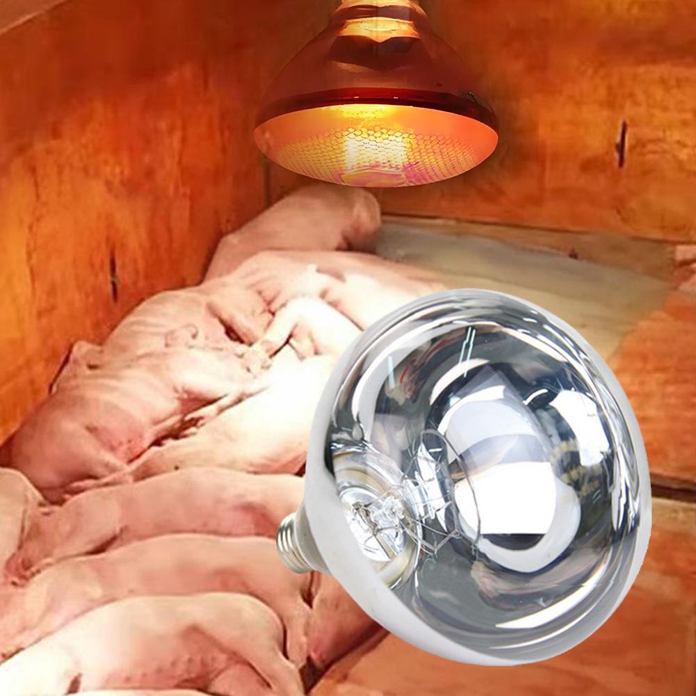 250W Infrared Heat Lamp E27 Waterproof Anti-Explosion Thickened Light Bulbs Heat Lamp Thermal Preservation For Piglet Chicken