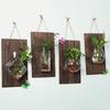 Yousheng Glass Wall Planter Hanging Vase with Wooden Board Oblate Flower Vase for Hydroponics Plants Flowers Home Office Decor