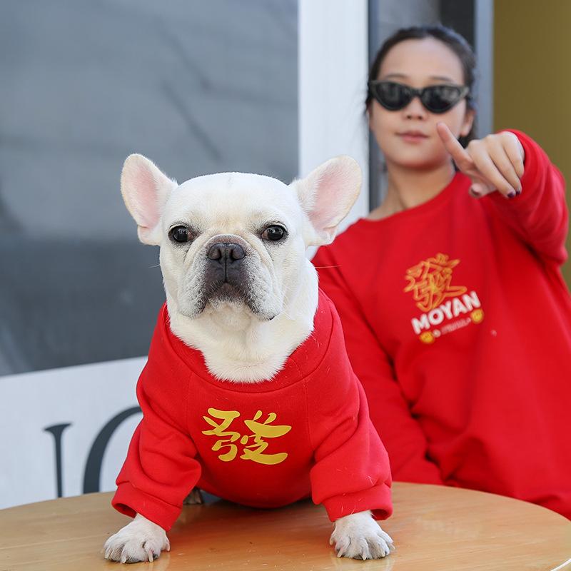 Kleid Haustierhund Hund Katze Kleidung Klein Mittel Groß Hundekampf Herbst- und Winterkleidung Zubehör