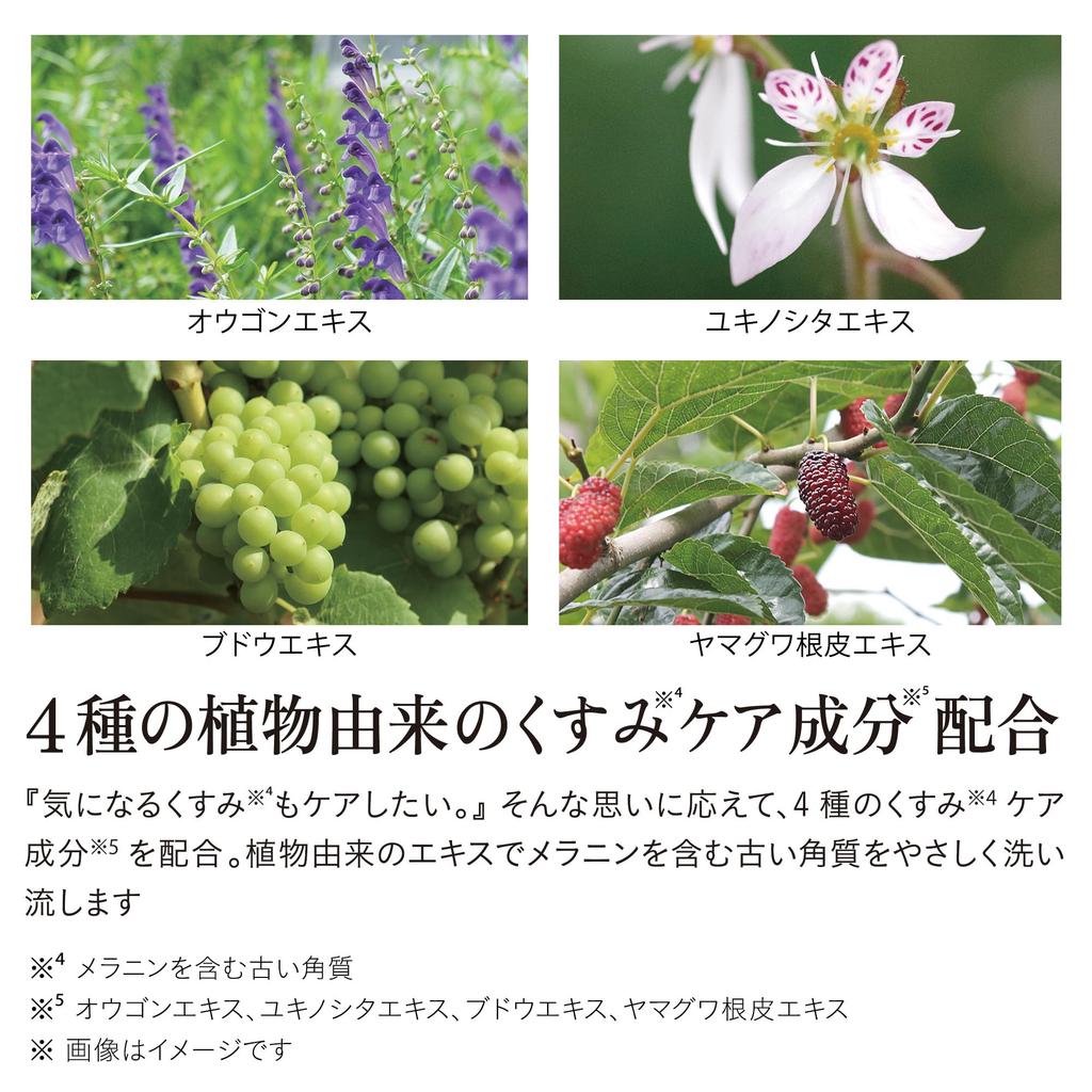 Best Cosmetics Hall of Iroha Delicate Zone Foam Bergamot and Bitter Orange 135ml [@cosme Fame] Soap, Type, Scent, Refill,