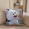 The S-Secret Life Of Pets Pillowcase Toon Gift Cushion Cover Bedroom Home Sofa Chair Seat Decor Pillow Case