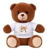 Bear Plush Toy - PLANETEE - Guillemette - 18 Cm - Soft Touch Polyester - Printed T-shirt