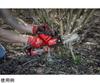Milwaukee Tool Japan M12 FUEL Small Chainsaw with Case M12 JP FHS-0X0